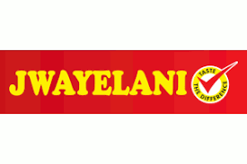 Logo 13
